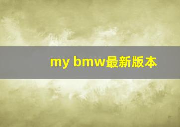 my bmw最新版本